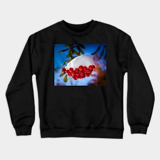 Snow Capped Mt Ash Berries Crewneck Sweatshirt